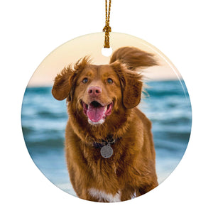 Personalized Pet Christmas Ornaments for Dog Cat as Holiday Gifts