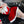 Cosplay Christmas red bunny girl costume SD05