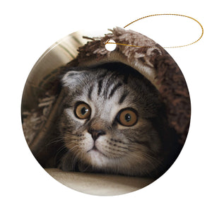 Personalized Pet Christmas Ornaments for Dog Cat as Holiday Gifts