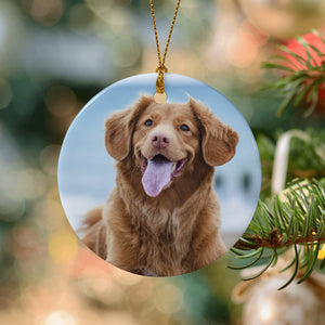 Personalized Pet Christmas Ornaments for Dog Cat as Holiday Gifts