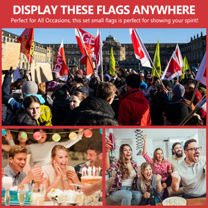 Hand flag and car flag (different-sided design)