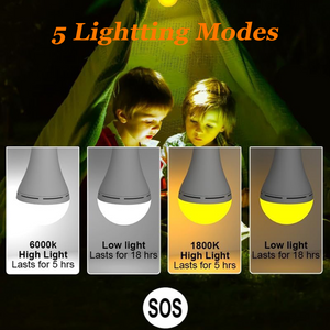 USB Rechargeable LED Light Bulbs with Remote & Timer – Dimmable Portable Lighting for Indoor & Outdoor Use