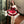 Christmas Red Cloak Puffy Skirt Dress SD86