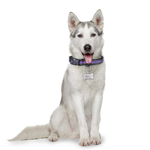 Product Name: Dog Tag 5*3cm (Double-sided Laser Engraving)