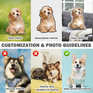 Irregularly shaped throw pillow (no white trim)