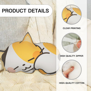 Irregularly shaped throw pillow (no white trim)