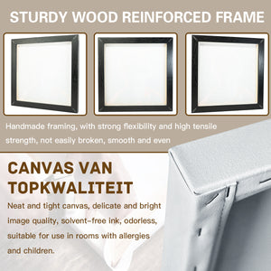 Horizontal floating frame decorative painting 4:3