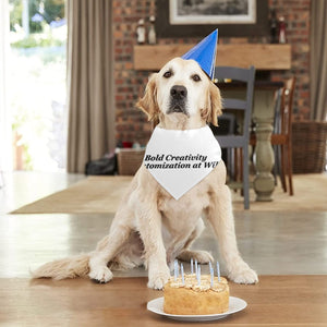 Double-layer pet bandana (Velcro - double-sided printing)