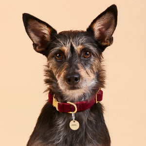 Stainless steel pendant (double-sided laser engraving)