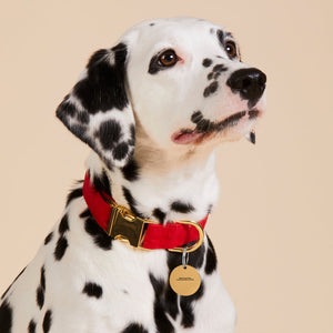 Stainless steel pendant (double-sided laser engraving)