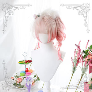 Lolita double ponytail gradual wig WS2293