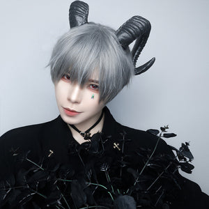 Cool silver gray wig WS2329