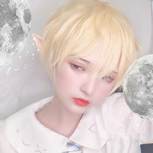 Short blonde hair and handsome wig WS2128