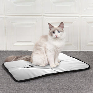 Pet mat