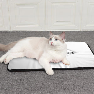 Pet mat