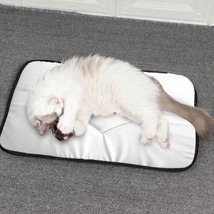 Pet mat