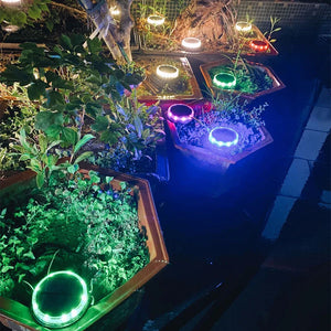 Solar Powered Waterproof Garden Lights – Automatic Outdoor LED Landscape & Pathway Lighting