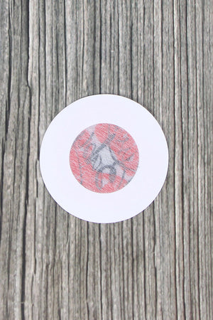 Kiss Me Baby Pasties