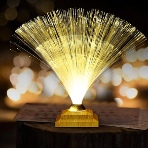 RGB Fiber Optic LED Lamp – Color‑Changing Ambient Fiber Optic Decorative Lighting