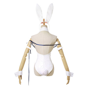 Dungeon ni Deai wo Motomeru no wa Machigatteiru Darou ka Hestia Tenue Lapin Bunny Girl Cosplay Costume
