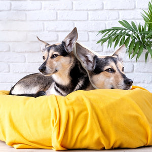 Dog Picture Pillow Custom Pet Pillow Dog Pillows Gift Custom 3D Pet Pillow from Photo | Personalized Dog/Cat Shaped Throw Pillow