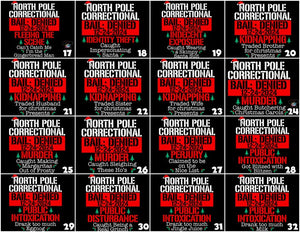 Custom North Pole Correctional Christmas 2024 Shirt, Bail Denied 12-24-2024 shirts, North Pole Christmas Matching Family Tshirt, Funny Tees