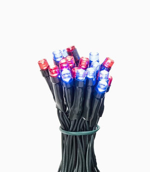 Battery Operated LED Lights