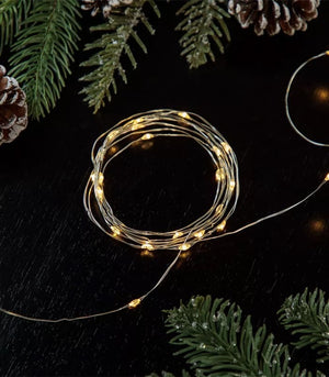 Northlight 50-Count Warm White LED