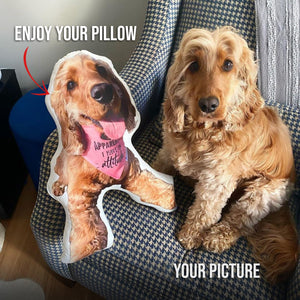 Dog Picture Pillow Custom Pet Pillow Dog Pillows Gift Custom 3D Pet Pillow from Photo | Personalized Dog/Cat Shaped Throw Pillow