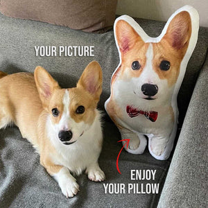 Dog Picture Pillow Custom Pet Pillow Dog Pillows Gift Custom 3D Pet Pillow from Photo | Personalized Dog/Cat Shaped Throw Pillow