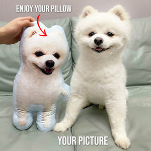 Dog Picture Pillow Custom Pet Pillow Dog Pillows Gift Custom 3D Pet Pillow from Photo | Personalized Dog/Cat Shaped Throw Pillow